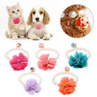 Dog Pet Pearl Flower Collar Elastic Necklace For Puppy Collar Jewelry Access Emb