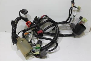 Honda CBR 600 F PC 35 BJ: 2001 Kabelbaum - Bild 1 von 1