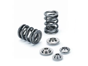 Supertech Fits VW 1.8L/2.0L 8V 7mm stem Dual Valve Spring Kit - Foto 1 di 1