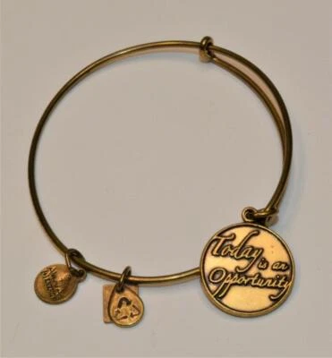 Vtg 2012 Alex & Ani Messing Ton Lang Heute Ist Opportunity Erweiterbares Armband - Bild 1 von 2