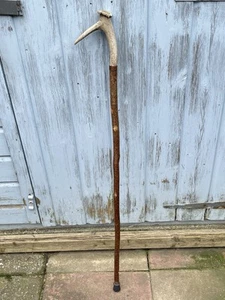 VINTAGE RUSTIC WALKING HIKING STICK LONG CROOK DEER ANTLER HORN HANDLE 107cm - Picture 1 of 10