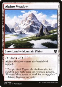 Magic: The Gathering Kaldheim #248 Alpine Meadow 2X Playset - Picture 1 of 1