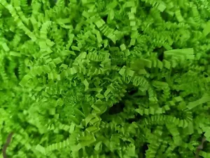 ZickZackPack Ostergras Ostern Dekoration Osterkorb Papierwolle 1kg - Bild 1 von 1