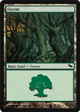 FOREST #301 FOIL Shadowmoor MTG Magic the Gathering Cards DJMagic