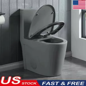 15 1/8 in 1.1/1.6 GPF Dual Flush One-Piece Elongated Toilet w/ Soft-Close Seat - Picture 1 of 8