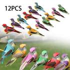 12Pcs Artificial Garden Bird Figurine Craft Bird Toy