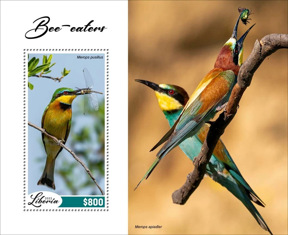 Hoja de recuerdo de aves abejaruros 2022 MNH estampillas de Liberia Foto 1 de 1