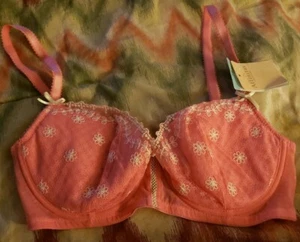 Nwt 36 C Affinitas Bra - Picture 1 of 5