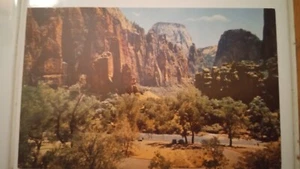 TEMPIO DI SINAWAVA, PARCO NAZIONALE ZION, UTAH CARTOLINA - Foto 1 di 3