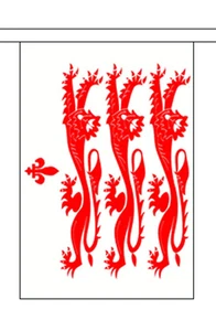 Dorset alte (Löwen) Wimpelkette 3m 10 Fahnen *VERKAUFSPREIS* - Bild 1 von 3