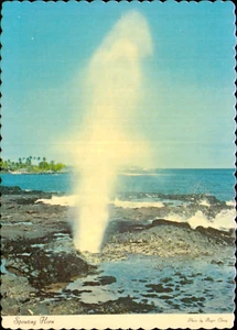 Hawaii Sprouting horn Kauai Postcard. Vintage 60s 70 Old USA - Picture 1 of 2