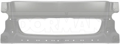 PARAGOLPES DELANTERO CENTRAL FREIGHTLINER CLASE SIGLO 04-11 PINTADO 242-5263 Foto 1 de 2