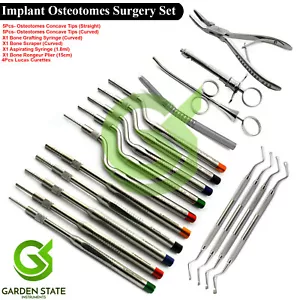 Implant Osteotomes Surgery Set Dental Lucas Curettes Bone Grafting Instruments - Picture 1 of 8