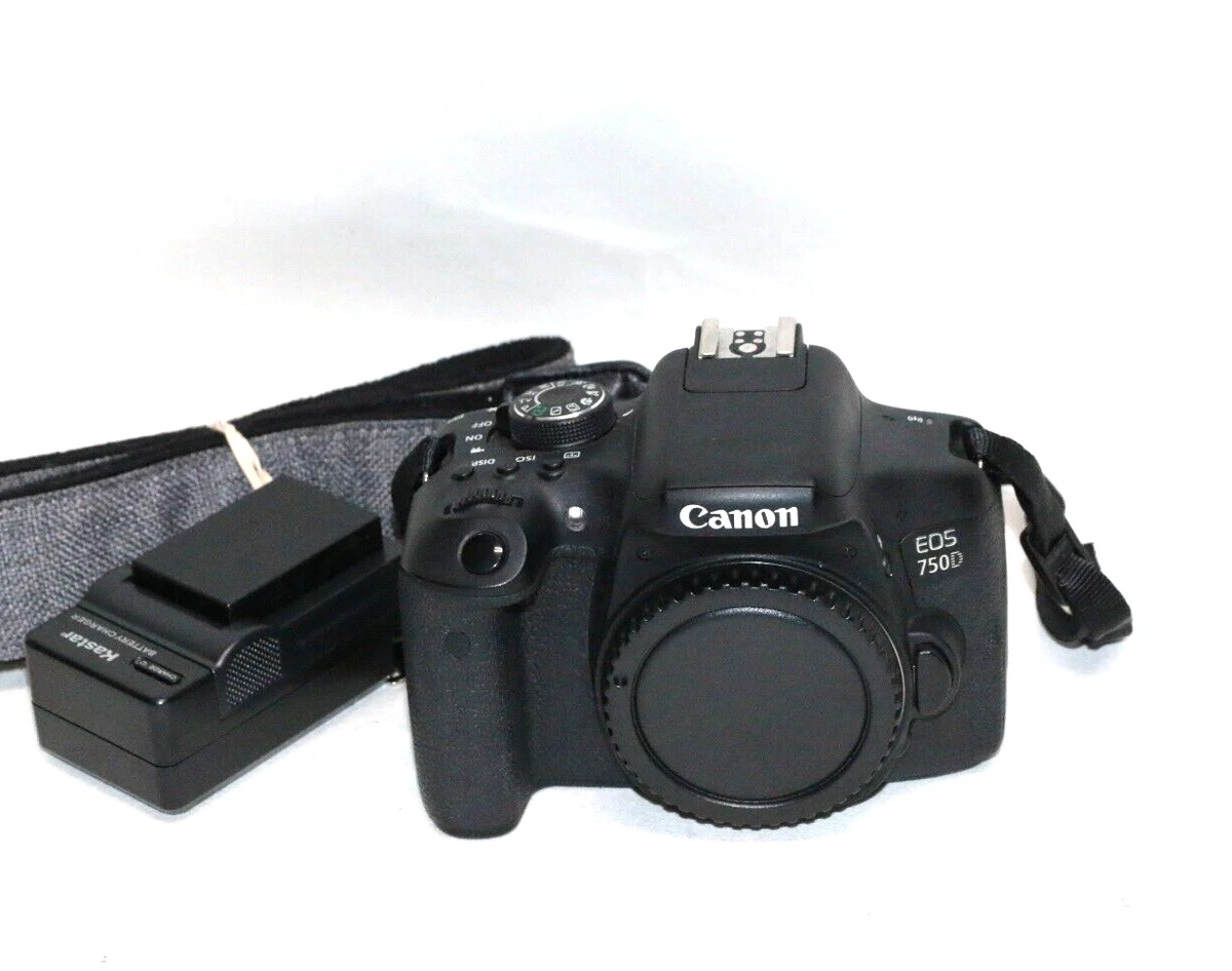 Canon EOS 750D Digital SLR Cameras for Sale | Shop New & Used