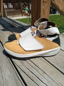Nike Air Jordan 20 OG East Coast Größe 12 310455-711 2005 Wheat Chutney - Bild 1 von 21