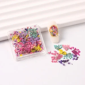 Dried Flower Nail Art Decoration Natural Floral Dry Flowers Nail Art Decoration - Picture 1 of 15
