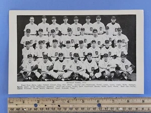 1950 Detroit Tigers Team Photo 1951 Baseball Guide News - 6x9 Original - Picture 1 of 2
