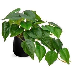 Fake Plants Indoor 8 Inch Artificial Pothos Plant in Black Ceramic Pot - Faux... - Picture 1 of 7