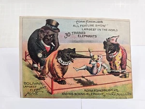 Antique Adam Forepaugh Jr and his Boxing Elephant Circus Trade Card - Picture 1 of 2
