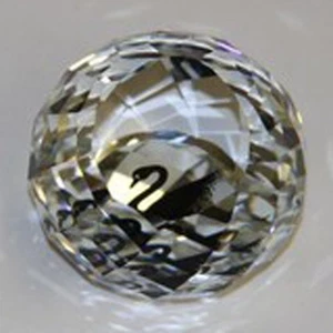 Swarovski - Paperweight, Membership Paperweight - Picture 1 of 1