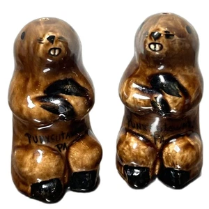 Vintage Punxsutawney Phil Salz Pfefferstreuer Paar Murmeltiere Keramik Mar Mar Art - Bild 1 von 7