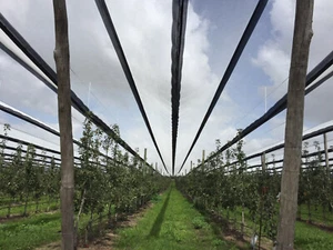Hail Net 74gsm - Black - 6m width x Qty - CUT TO ORDER - Min 5m - Picture 1 of 2