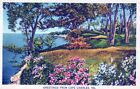 Greetings from Cape Charles Virginia Lake Flowers and Trees Scene Postcard