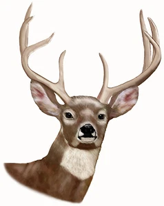 Deer Buck Large Decal Sticker 8"x10" L or R Facing Vinyl Hunting Hunters Truck - Picture 1 of 6