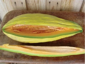 Bananenmelone 20 - 100 Samen selten süß Erbstück Cantaloupe Moschus großes Erbstück 24 Zoll - Bild 1 von 3