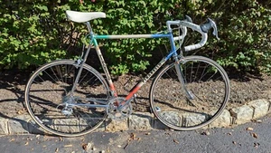 Pinarello Spumoni Montello Road Bike 60cm - Picture 1 of 8