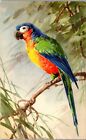 Bird Parrot by CATHERINE KLEIN Pub. Switzerland No. 1286 Vintage Postcard TT1