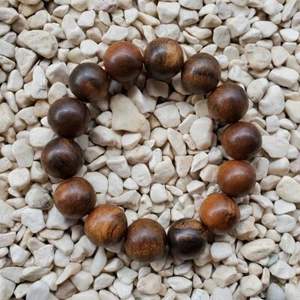 Nice Smell 14 Beads Borneo Aetoxylon Agarwood 16 MM Gaharu Buaya Bracelet #36 - Picture 1 of 4
