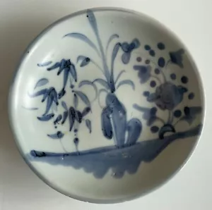 Chinese Qing Blue & White Tek Sing Plate from 1822 Ship Wreck - Picture 1 of 9