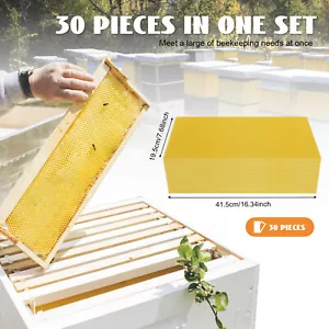 30PCS/SET Honey Bee Hive Beehive Wax Frames for Brood Beekeeping Box 195x415mm - Picture 1 of 20
