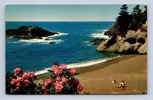 Postal de la costa del Océano Pacífico C-41 por Walt Dyke sin publicar - Imagen 1 de 2