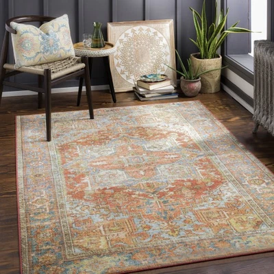 5x7 Washable Area Rug Traditional Low Pile Stain Resistant Livingroom  Rug-NEW - Image 1 of 4