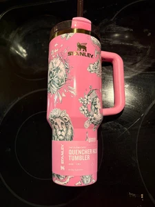 Stanley X Wicked For Good Ozian Reprise 40 Unzen Löscher Becher Vorverkauf - Bild 1 von 6