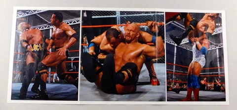 Shawn Michaels HHH Austin Angle WWE Wrestling Poster 10x24 Wrestler WWF Cover