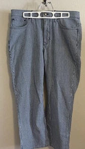 J. Crew Adult Women's Size 30 High Rise Crop Flare Blue Stripe Denim Jeans Pants - Picture 1 of 9