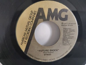 SYNOD - "FUTURE SHOCK - NATURE OF THINGS" / AMG RECORDS 1977 - Imagen 1 de 2