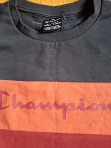 Neues Sweatshirt, Champion, Mädchen, Gr. XL (164/170) - Bild 1 von 3