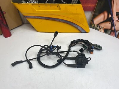 🔥05 Harley Electra Glide Wiring Harness Ecu Ecm & Ignition Coil🔥 - Image 1 of 4