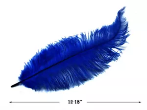20 Plumas - Mini Palas Azul Real Ala de Avestruz Mardi Gras Halloween 12-18" - Imagen 1 de 7