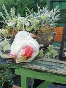 Vogel zum hängen, Vogelhaus aus keramik - Bild 1 von 1