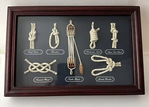 Sailor 7-Knot Display in Glass Case Man Cave Nautical Decor Read - Picture 1 of 13