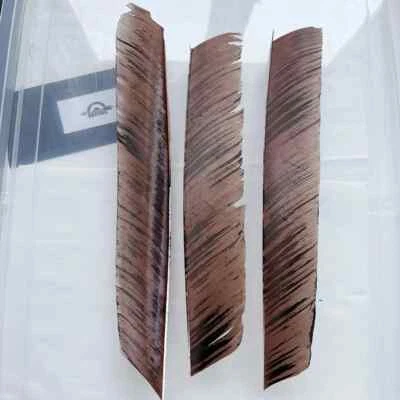 200Pcs 18~25 CM Archery Arrow Feathers Fletchings Fletches Ink Paintng RW LW - Image 1 of 4