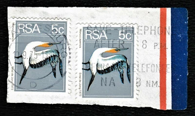Historic 5c " Flora & Fauna - Cape Gannet " South Africa 1974 - Изображение 1 из 2