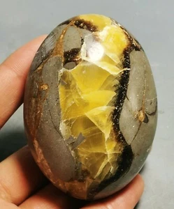 Polished DRAGON SEPTARIAN Calcite GEODE SPHERE Palm Madagascar - Picture 1 of 8