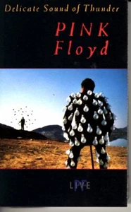 Pink Floyd Delicate Sound Of Thunder 1988 Classic Rock Roll Cassette Tape Pop - Picture 1 of 2