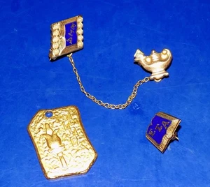 Vintage Epsilon Sigma Alpha New Member Pins & Pendant - Picture 1 of 6